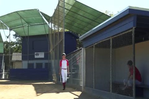 sleazy BASEBALL PLAYERS receive tasty IN The DUGOUT