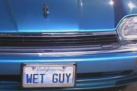 Tom Katt receives pounded By Max