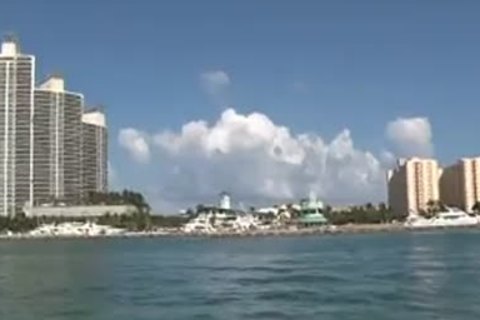 Blew whoretel - Blue Alley dudeios