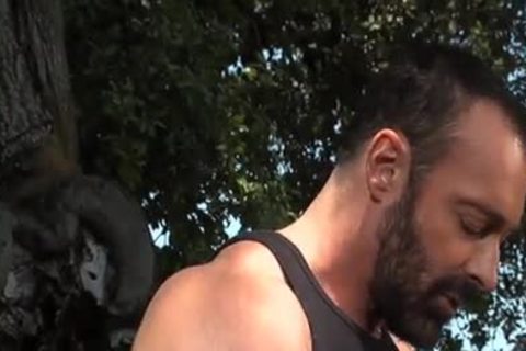 sweet Bears drilling Outside