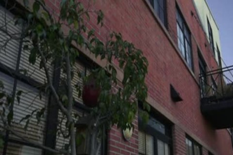 teen lads Safe slaming