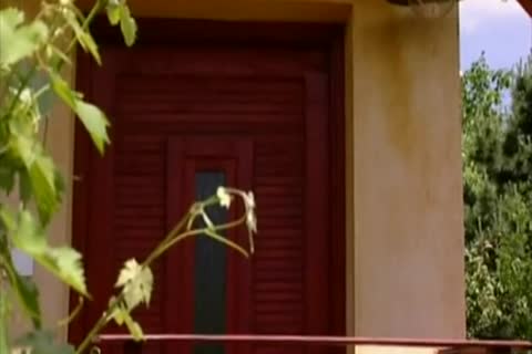 Amis Straights Aimant Les Queues