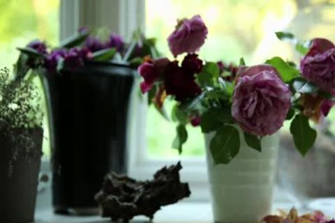 A Thellong IS BEAUTY