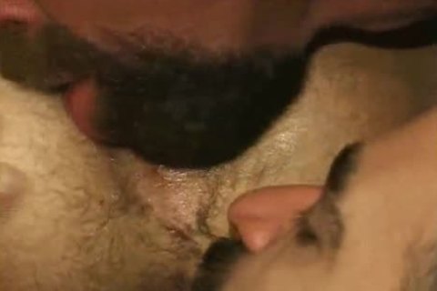 Two hairy lads Felching An booty Of spooge. Titpig Is A Feature In This One, With Close Ups Of his Tongue And Great Goatee highlight him Teasing The