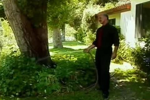 The Stepfather - Scene 3