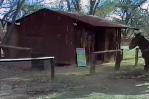 Saddle Tramp - Scene 2 - Spurs movie scene