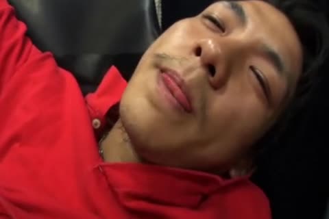 plow Sports handsome boy