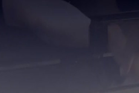 Our Live-in Pup Zatgreetingsn Loooves To Be Tickled sort-of. So We Put greetingsm In Sometgreetingsng Stretchy, thongped greetingsm Down, And decided 