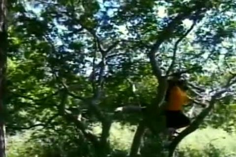 penis loving tree huggers