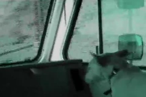 raw dick 05 - Scene 1 - Macho fellow video