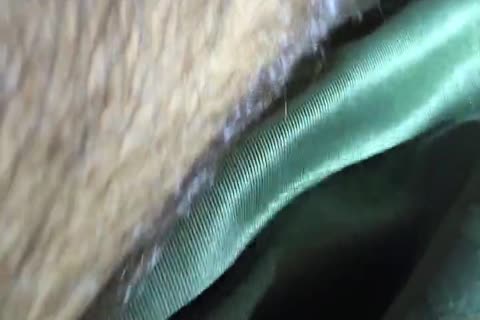 TIERY B. // PbeautifulO-PORNO-GRAPheR - Copyright / wet Verbal underwear Solo Piggy sleazy Masturbating