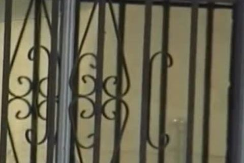 love juice Puppies - Scene 8 - Pacific Sun Entertainment