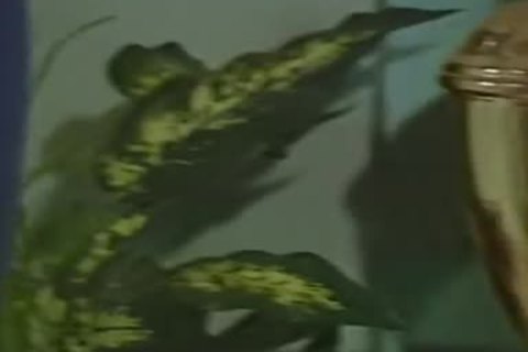 Rumble - Scene 4