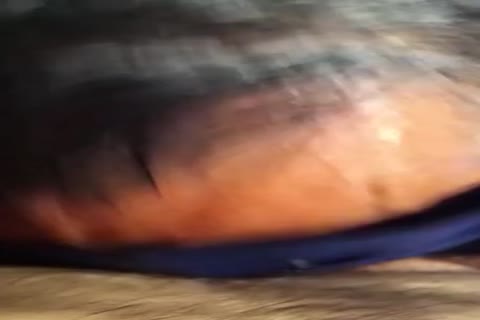 Part 02 : pleasant My master And My throat\nMoved To daybed. this man Was Very Verbal And Used My throat As A Fleshlite? Things Got Slippery As I Juic