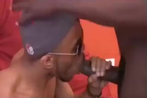 hammer\\' Dat gay Azz