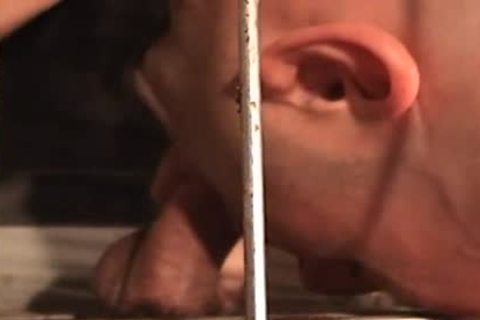 Oink 2 - Scene 2