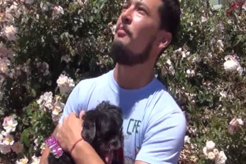 EuroEuro poke Japan homo two