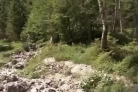 twink acquires banged In trio