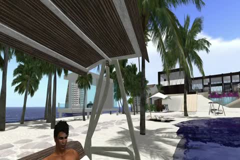 A Beachhouse Is A ideal Place To Relax. And If A ally Comes By To Visit you It Will Even Be better.