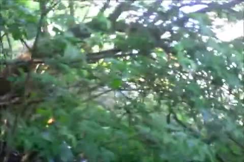 On Sunday I Made Up My Mind That I Would Go To A recent Cruising Area Hunting For A movie After I Finished Work For The Day. The Went Day But The Weat