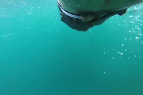 Alas, Summer Is Done And It Brings To An End Tthis chab Swimming Season.  Tthis chab Last Of Tthis chab Water sgorgeouss In Various States Of dress An