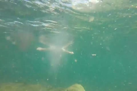 Alas, Summer Is Done And It Brings To An End Tthis chab Swimming Season. Tthis chab Last Of Tthis chab Water sgorgeouss In Various States Of dress An