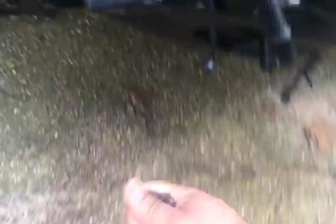 jerking off Outside WhelLOLe friends Are Inside Watchellong Tv. I Was Very Nervous Thellonking someone Would Pass By Street Or friends Would Come Out 