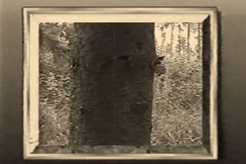 old Jerking Vid From Tape, Poor Quality.\nSo I Make It Vintage Art