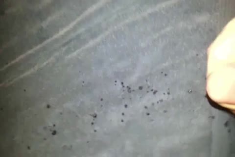 Multiple orgasms And mpooperhole\nive cock juice flows! Hope That you enjoy And I Look Forward To Feedback/comguysts!