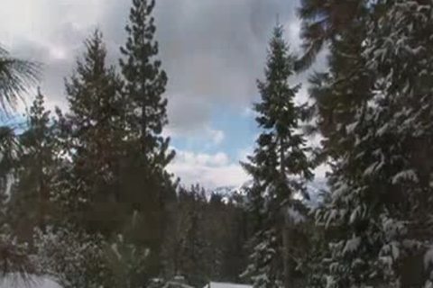 Landon Conrad And Tyler Wolf (TSP P1)