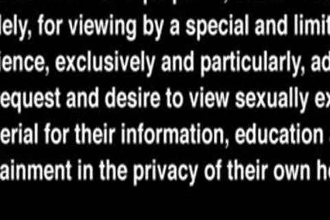 homo Motel- Blue Alley Studios