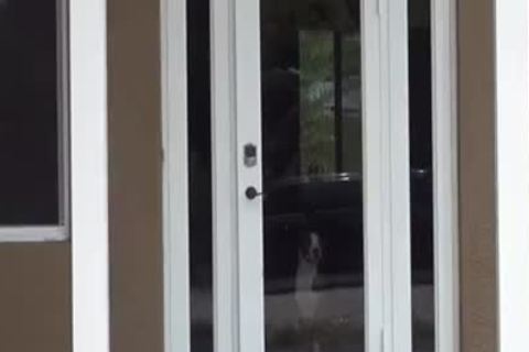 Need two Feed - cum Pig men