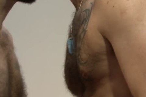 Tattooed Bears rimming & nailing