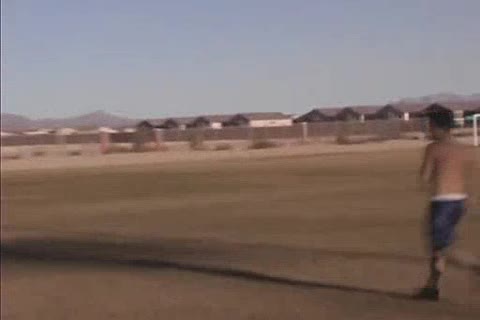 Playing The Field 2006