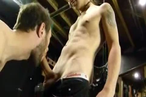 young master pound bondstud