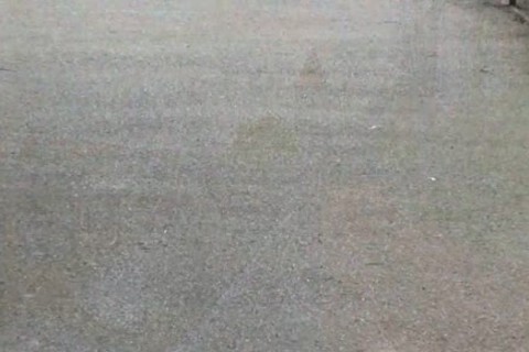 Pavol, Ivan And Dmitry Threeway plowing