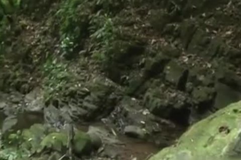 Young twink need hard ramming