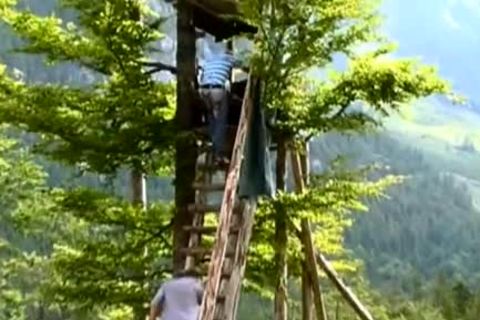 Constantin plows Kevin