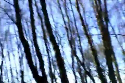 Back Up And Running Tthis guy Above Titled episode From Last Summer, Watch As I Pick Up Two men Who Tthis guyn Spit-roast Me ayoungst A Tree,while Lot