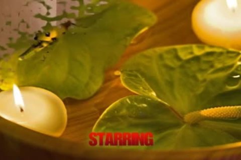 nudeback meaty - Scene 1