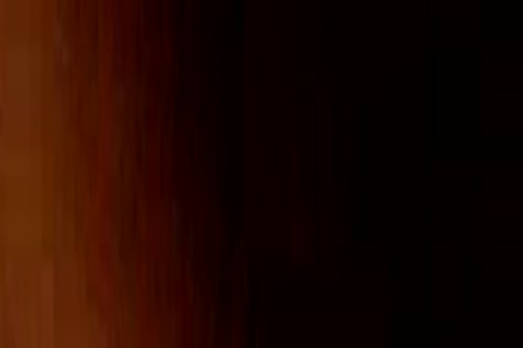 Two boys Caught By Security Guard