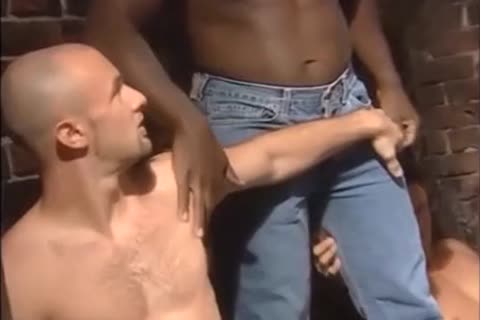 Too guyy Is never enough