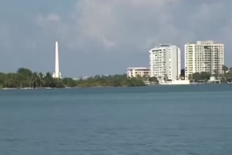 Miami love juice - Scene 6 - Blue Alley fellowios