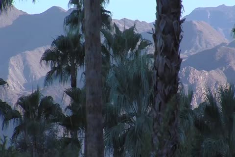 Anthony London And Mike Tanner (CTTC P2)