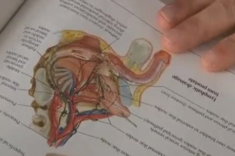 Bookworm Bottom Boi 1