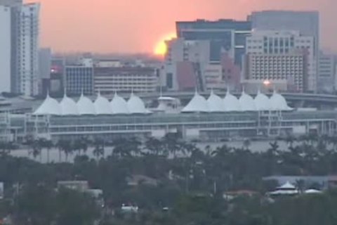 Brutus black Stroking