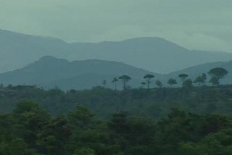 Carlos Montenegro And Marius Mugler - Www