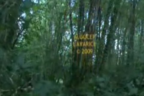 homosexual PORN Lavarice