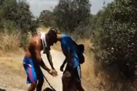 Machões domesticando Cadelinha