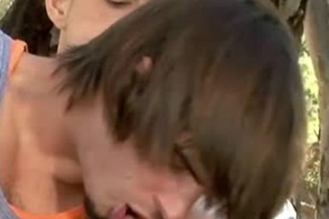 concupiscent homosexual peckers slamming outdoors